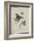 Album Donovan : an epitome of the natural history of insects in China-Edward Donovan-Framed Giclee Print