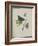 Album Donovan : an epitome of the natural history of insects in China-Edward Donovan-Framed Giclee Print