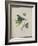 Album Donovan : an epitome of the natural history of insects in China-Edward Donovan-Framed Giclee Print