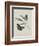 Album Donovan : an epitome of the natural history of insects in China-Edward Donovan-Framed Giclee Print