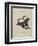 Album Donovan : an epitome of the natural history of insects in China-Edward Donovan-Framed Giclee Print