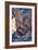 Album Noa-Noa : Homme dans une barque-Paul Gauguin-Framed Giclee Print