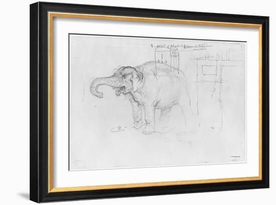 Album of the Siege of Paris, Elephant (Pen and Brown Ink Wash and Pencil on Paper)-Gustave Doré-Framed Giclee Print