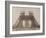 Album on the Work of Construction of the Eiffel Tower-Louis-Emile Durandelle-Framed Giclee Print