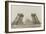 Album on the Work of Construction of the Eiffel Tower-Louis-Emile Durandelle-Framed Giclee Print