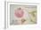 Album Sheet with a Rose, 1675-Maria Sibylla Merian-Framed Giclee Print