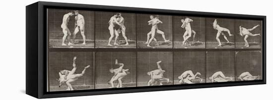 Album sur la décomposition du mouvement : "Animal locomotion", 1872/85. Lutte de deux hommes nus-Eadweard Muybridge-Framed Premier Image Canvas