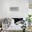 Album sur la décomposition du mouvement: Animal Locomotion: chat-Eadweard Muybridge-Framed Giclee Print displayed on a wall