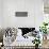 Album sur la décomposition du mouvement:Animal Locomotion: chat-Eadweard Muybridge-Framed Premier Image Canvas displayed on a wall