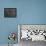 Album sur la décomposition du mouvement : Animal Locomotion : homme au fusil-Eadweard Muybridge-Framed Premier Image Canvas displayed on a wall
