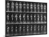 Album sur la décomposition du mouvement : Animal Locomotion : homme au fusil-Eadweard Muybridge-Mounted Giclee Print