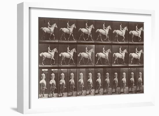 Album sur la décompostion du mouvement : "Animal locomotion  :Saut d'obstacle, cheval blanc-Eadweard Muybridge-Framed Giclee Print