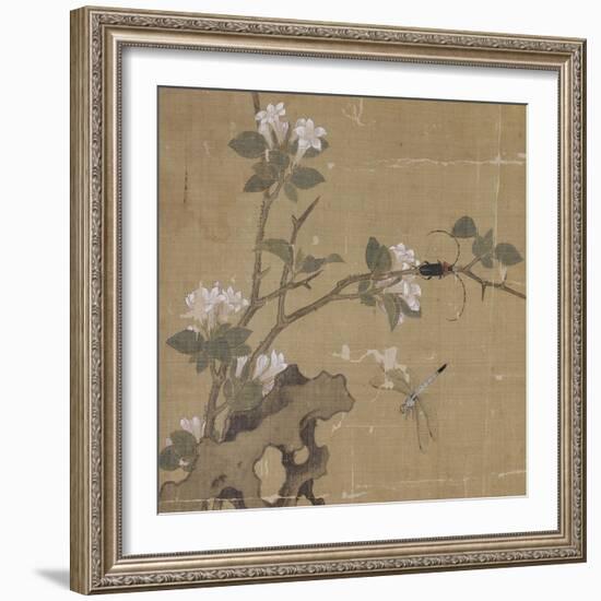 Album-Shian Xu-Framed Giclee Print
