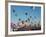 Albuquerque Balloon Fiesta, Albuquerque, New Mexico, USA-Steve Vidler-Framed Photographic Print