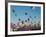 Albuquerque Balloon Fiesta, Albuquerque, New Mexico, USA-Steve Vidler-Framed Photographic Print