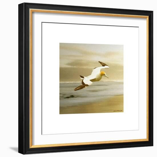 Alcatraz-Carlos Casamayor-Framed Giclee Print