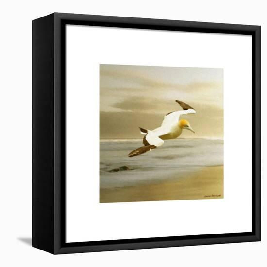 Alcatraz-Carlos Casamayor-Framed Premier Image Canvas