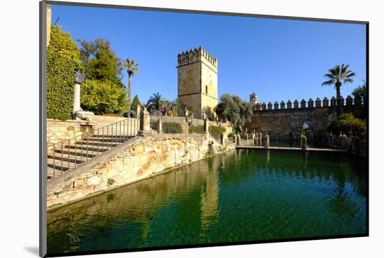 Alcazar De Los Reyes Cristianos, Cordoba, Andalucia, Spain-Carlo Morucchio-Mounted Photographic Print