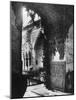 Alcazar of Seville-null-Mounted Photographic Print