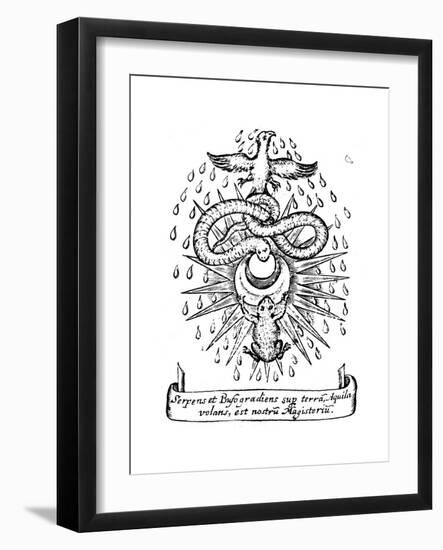 Alchemical Symbolism, 1652-null-Framed Giclee Print