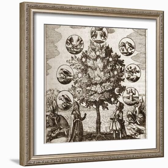 Alchemical Tree, Philosophia Reformata-Middle Temple Library-Framed Premium Photographic Print