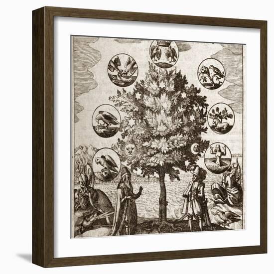 Alchemical Tree, Philosophia Reformata-Middle Temple Library-Framed Premium Photographic Print