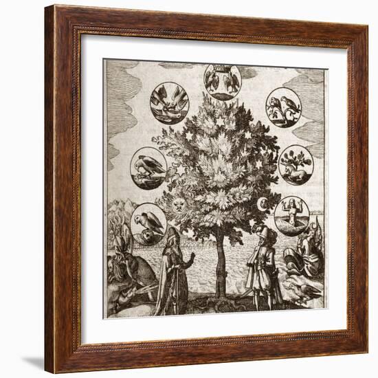 Alchemical Tree, Philosophia Reformata-Middle Temple Library-Framed Premium Photographic Print