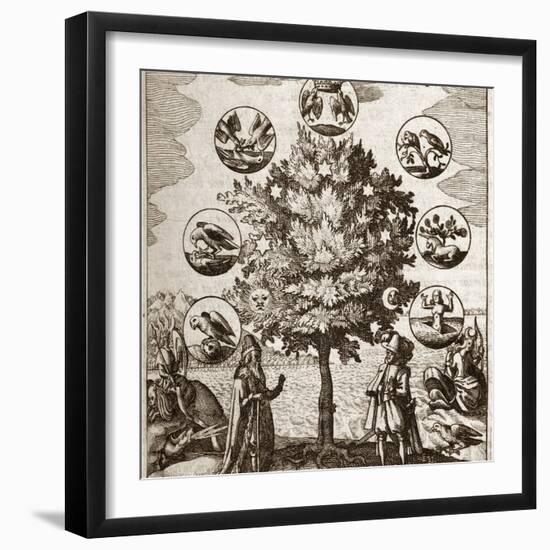 Alchemical Tree, Philosophia Reformata-Middle Temple Library-Framed Premium Photographic Print