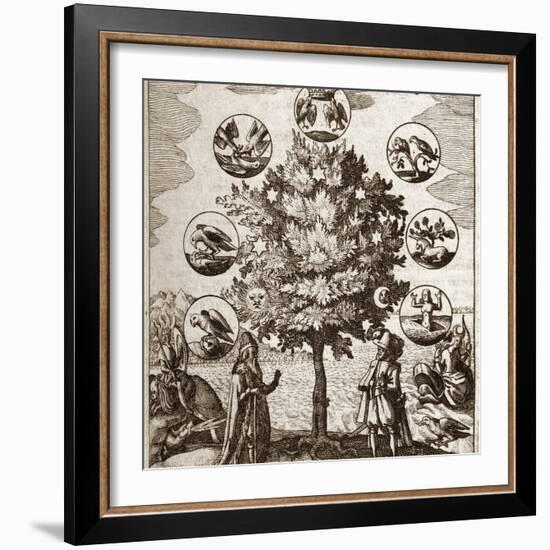 Alchemical Tree, Philosophia Reformata-Middle Temple Library-Framed Premium Photographic Print