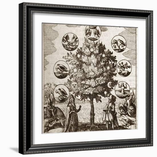 Alchemical Tree, Philosophia Reformata-Middle Temple Library-Framed Premium Photographic Print