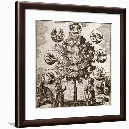 Alchemical Tree, Philosophia Reformata-Middle Temple Library-Framed Photographic Print