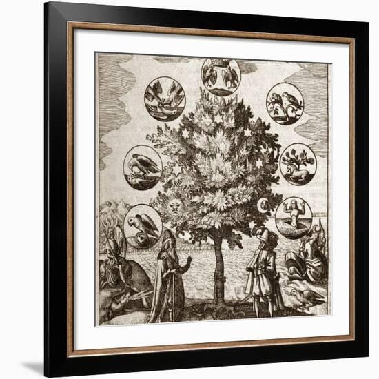 Alchemical Tree, Philosophia Reformata-Middle Temple Library-Framed Photographic Print