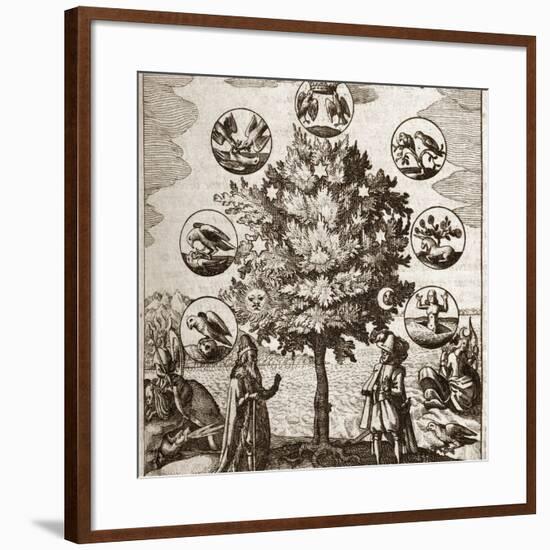 Alchemical Tree, Philosophia Reformata-Middle Temple Library-Framed Photographic Print