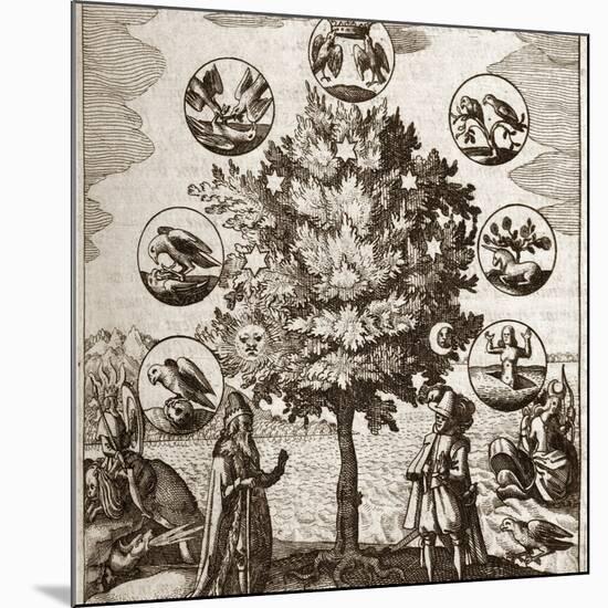 Alchemical Tree, Philosophia Reformata-Middle Temple Library-Mounted Photographic Print