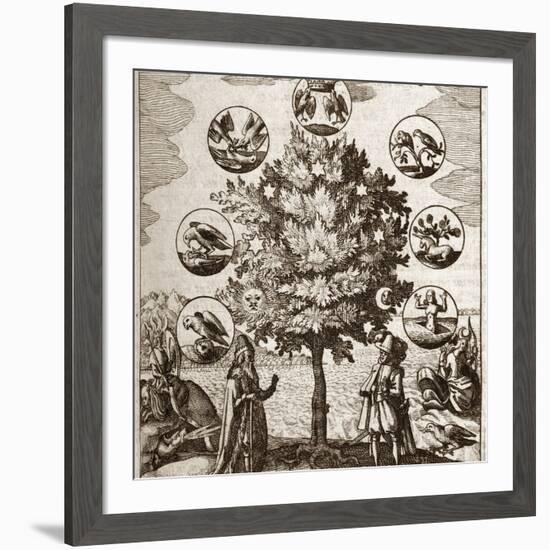 Alchemical Tree, Philosophia Reformata-Middle Temple Library-Framed Photographic Print