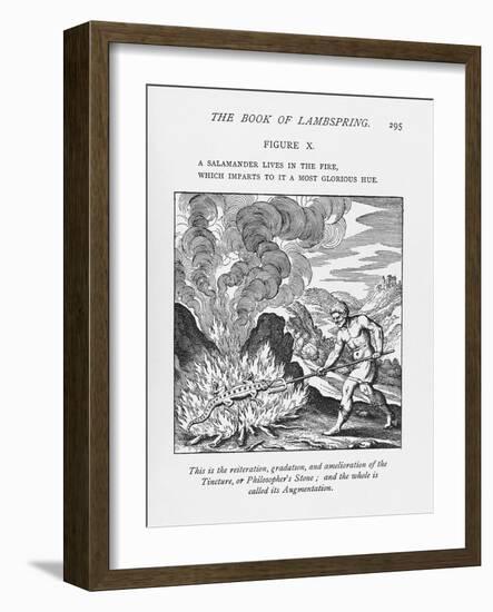 Alchemy-Science, Industry and Business Library-Framed Photographic Print