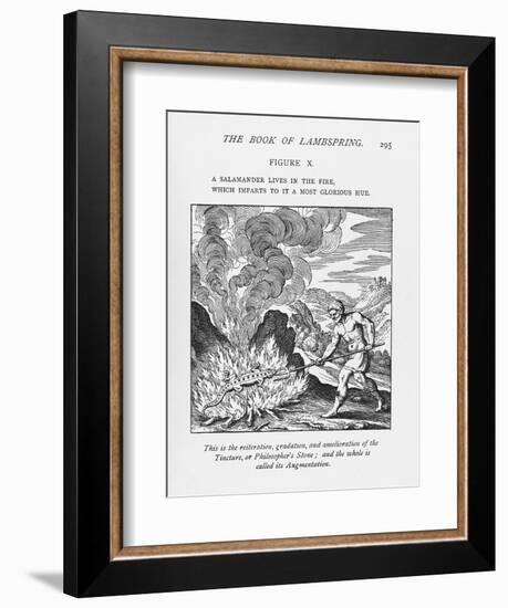 Alchemy-Science, Industry and Business Library-Framed Photographic Print