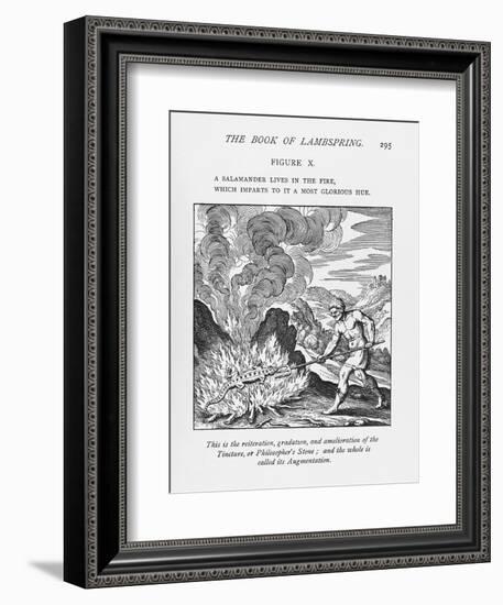 Alchemy-Science, Industry and Business Library-Framed Photographic Print