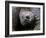 Aldabra Tortoise, Native to Aldabra Island, Near Seychelles-Adam Jones-Framed Photographic Print