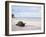 Aldabra Tortoise on Beach, Picard Island, Aldabra, Seychelles-Pete Oxford-Framed Photographic Print