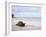 Aldabra Tortoise on Beach, Picard Island, Aldabra, Seychelles-Pete Oxford-Framed Photographic Print