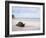 Aldabra Tortoise on Beach, Picard Island, Aldabra, Seychelles-Pete Oxford-Framed Photographic Print