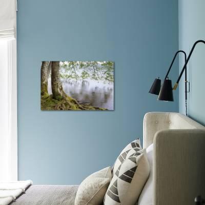 Alder Trees Over Lake Crescent Olympic National Park Washington Usa Photographic Print Jaynes Gallery Art Com