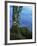 Alder Trunk along the McKenzie River, Willamette National Forest, Oregon, USA-Charles Gurche-Framed Photographic Print