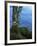 Alder Trunk along the McKenzie River, Willamette National Forest, Oregon, USA-Charles Gurche-Framed Photographic Print