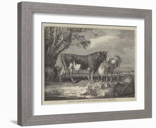 Alderney Cattle-James Ward-Framed Giclee Print