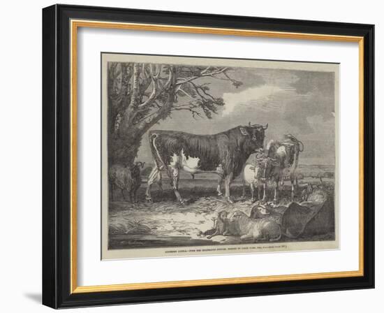 Alderney Cattle-James Ward-Framed Giclee Print