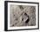 Aldrin's Footprint on the Moon, 1969-null-Framed Giclee Print