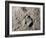 Aldrin's Footprint on the Moon, 1969-null-Framed Giclee Print