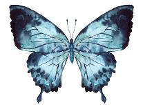 Butterfly Indigo Blue Watercolor-Alecs Chu-Premium Giclee Print